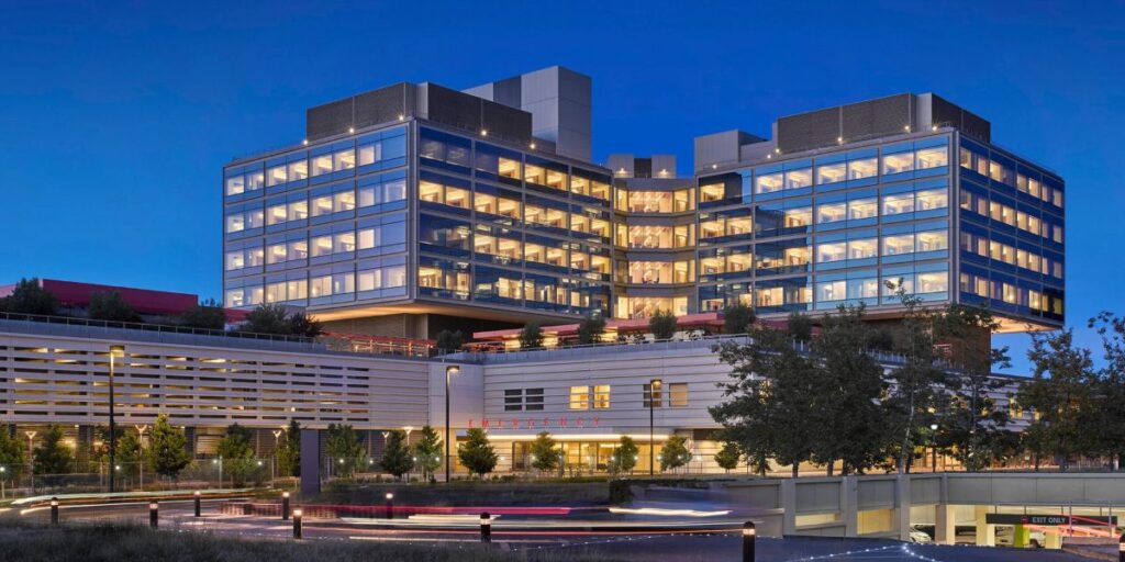 knee cartilage regeneration